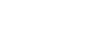 light logo